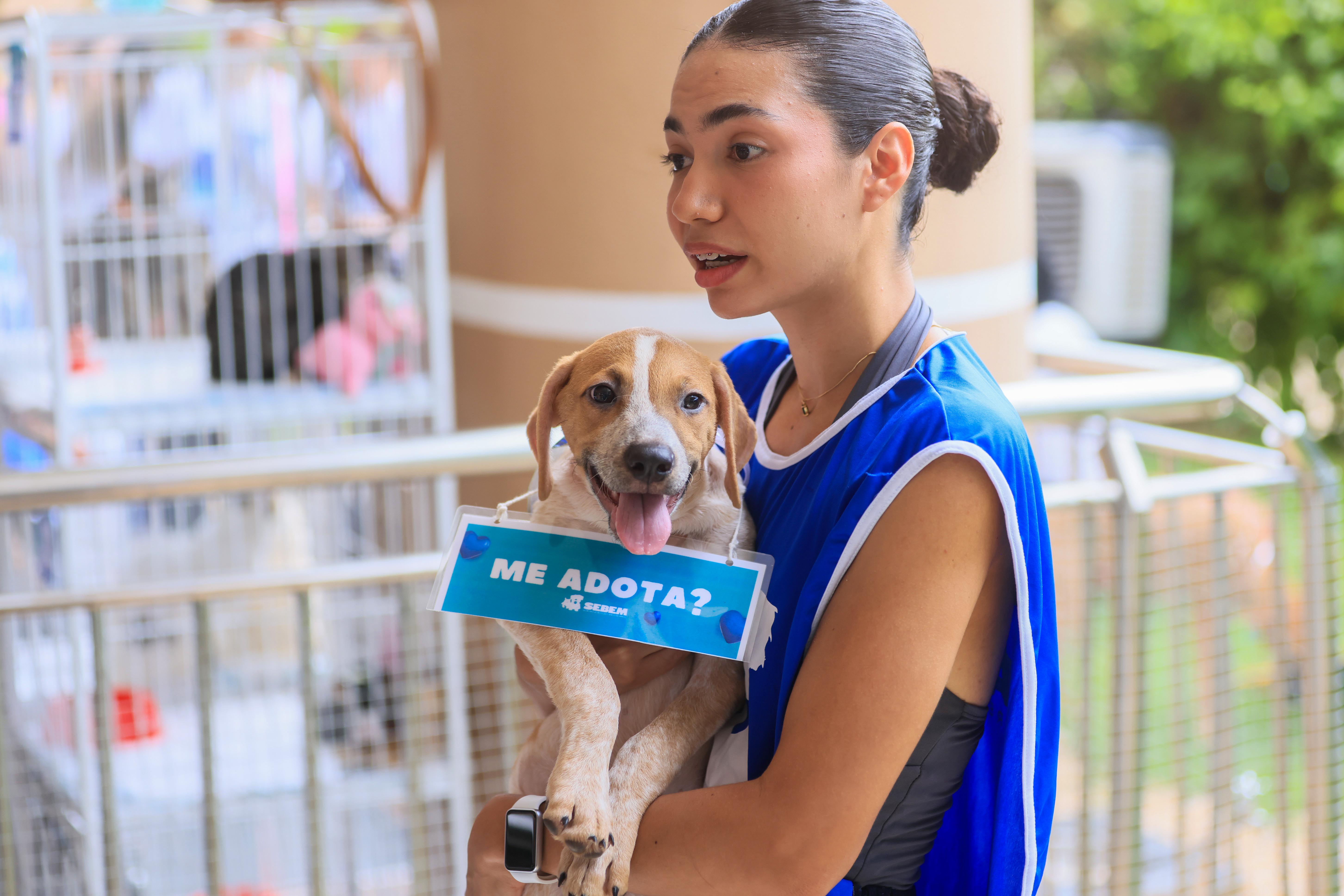 Prefeitura de Palmas altera decreto e amplia atuação do Programa Municipal de Voluntariado