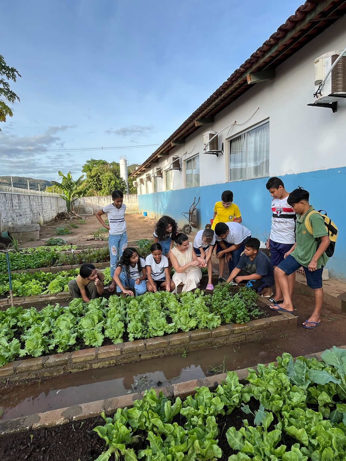 Além de servir como ferramenta pedagógica, os alimentos cultivados são usados na merenda escolar