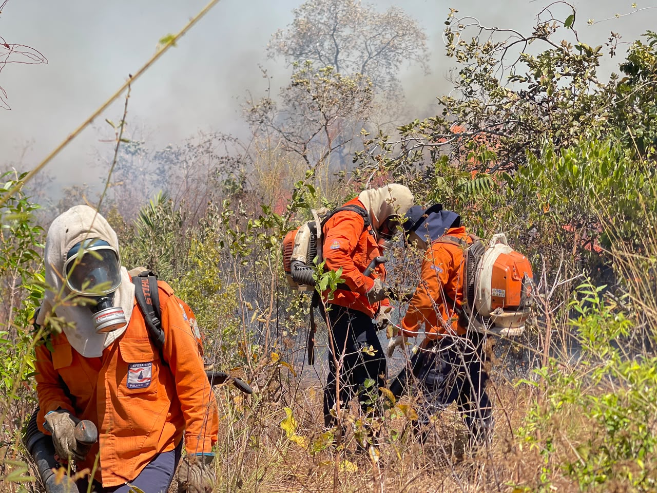 Defesa Civil de Palmas fecha o mês de agosto com 106 ações de combate a incêndios registradas