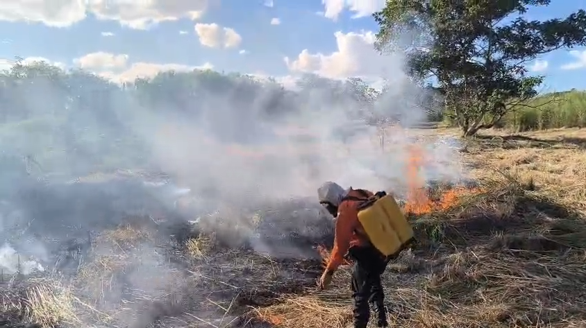 Defesa Civil combate focos de incêndio em diferentes regiões de Palmas nesta quarta-feira, 6