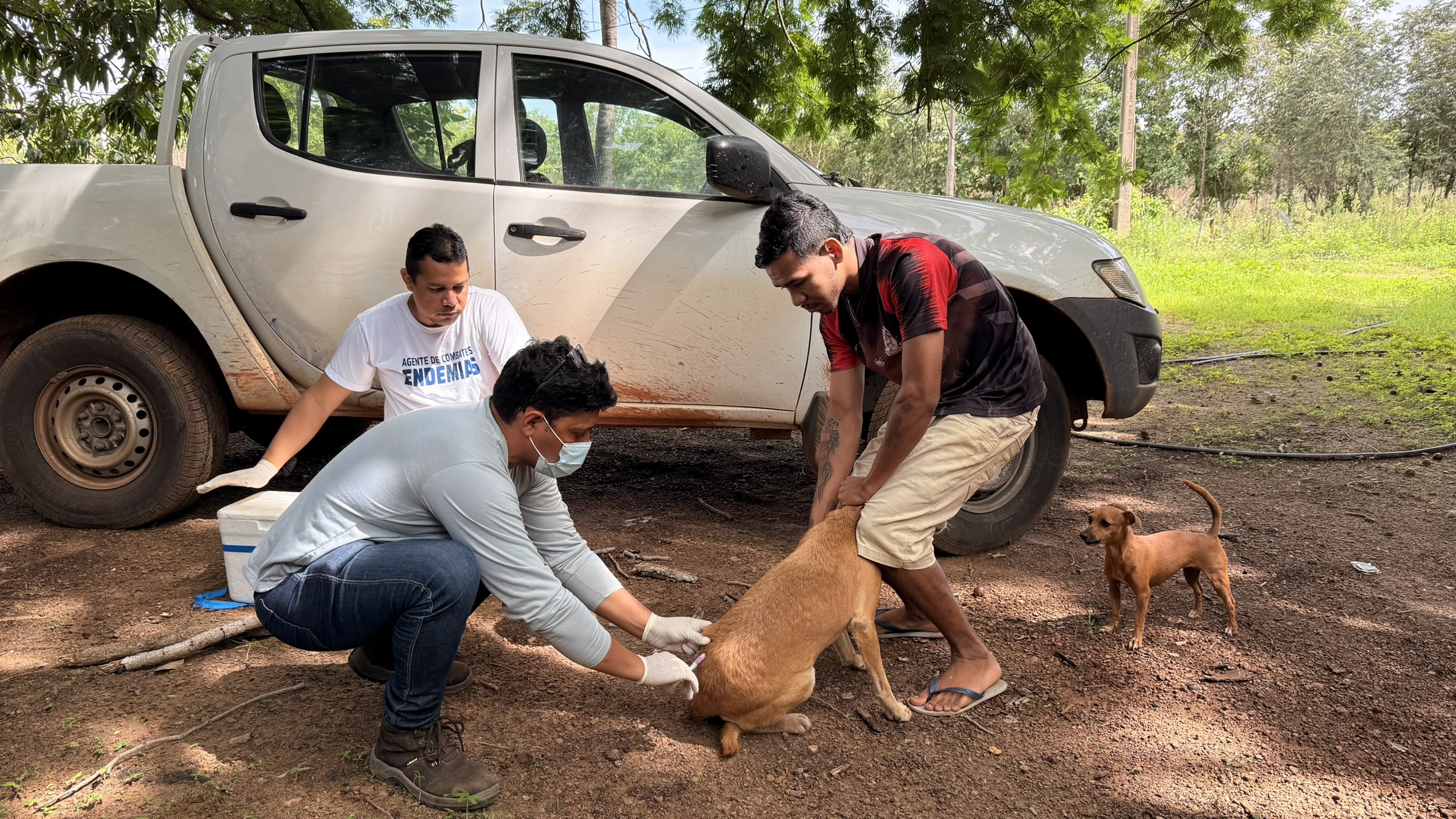 Palmas reforça prevenção e vigilância contra zoonoses durante todo o ano