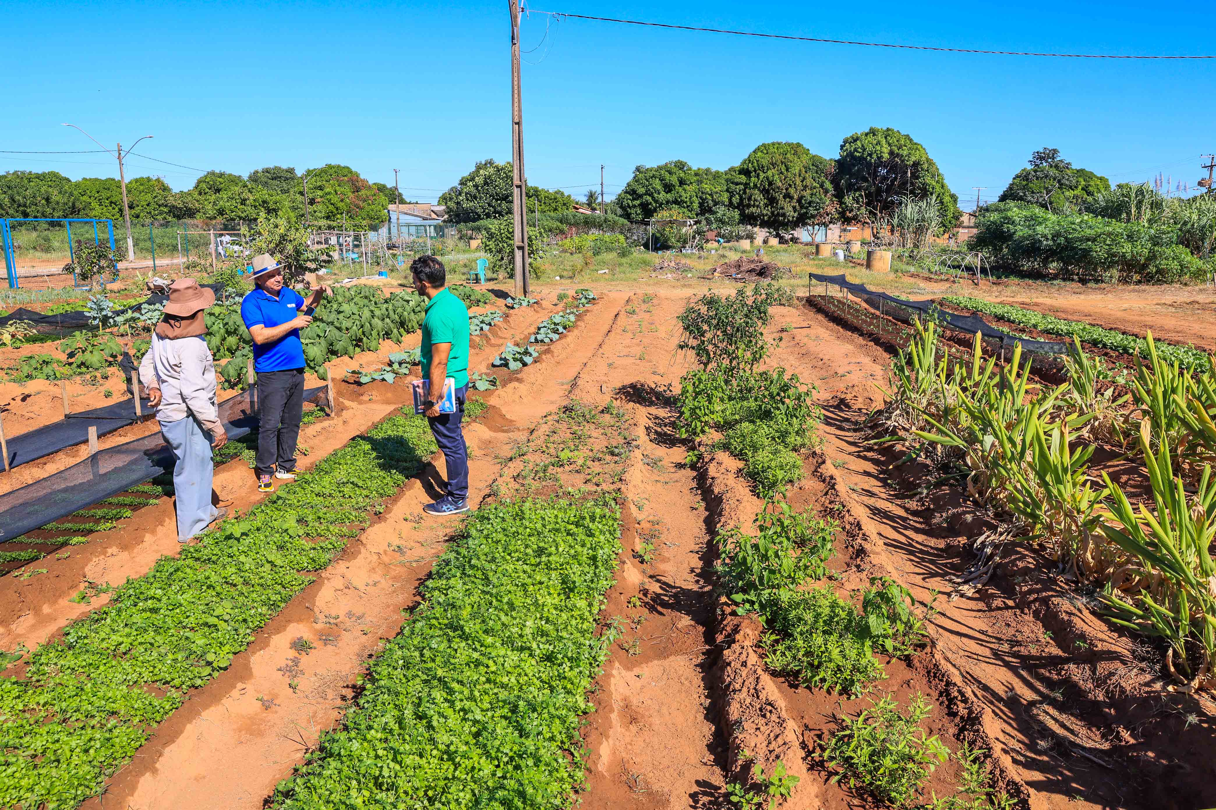 Prefeitura realiza visitas técnicas para implantação e reestruturação de hortas comunitárias em Palmas