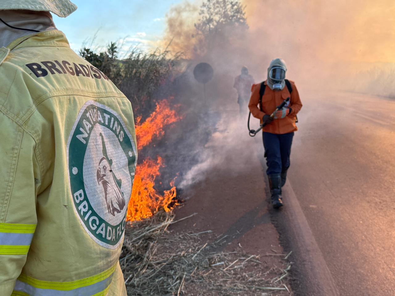 Defesa Civil instrui equipes sobre manejo integrado do fogo para ações preventivas