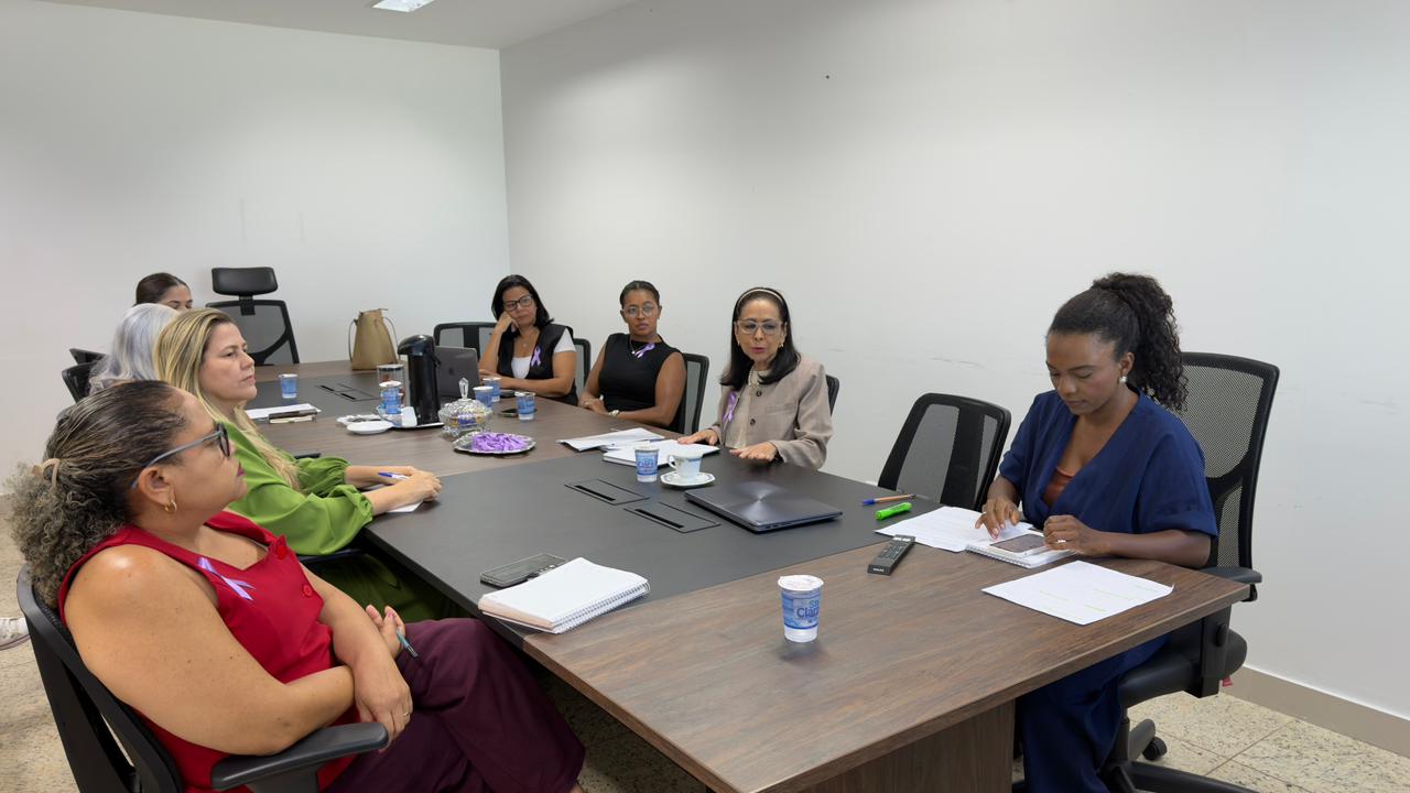 Comdim discute ajustes para o Plano Municipal de Políticas Públicas para as Mulheres