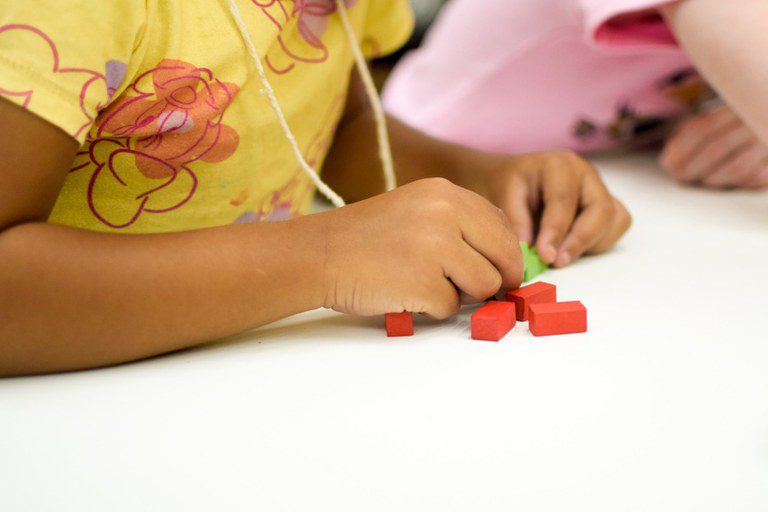 Prefeitura de Palmas realiza 1º Encontro Municipal sobre o Programa BPC na Escola