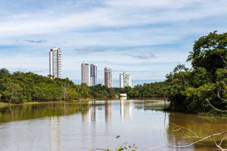 Prefeitura de Palmas descarta infecção por febre amarela e raiva animal em macaco encontrado no Parque Cesamar