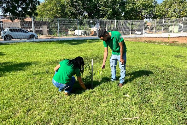 Técnicos do Germinar monitoram plantio de mudas do projeto Palmas Planta