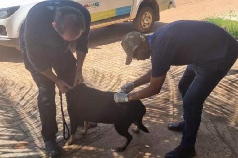 Semus inicia cronograma de vacinação antirrábica na zona rural pelo Água Fria