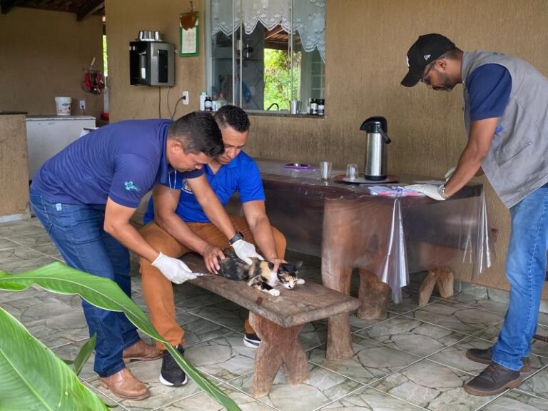 Semus retoma imunização antirrábica na zona rural de Palmas