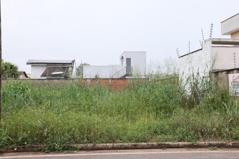 Código de Postura de Palmas determina que lotes particulares devem ser limpos pelo menos duas vezes ao ano