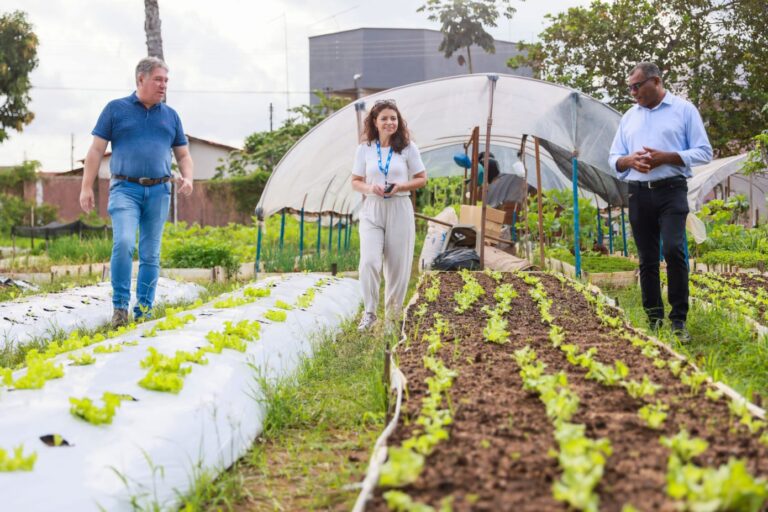 Prefeitura de Palmas guia Ministério do Desenvolvimento Social em visita a horta comunitária, associações rurais e feira da Capital