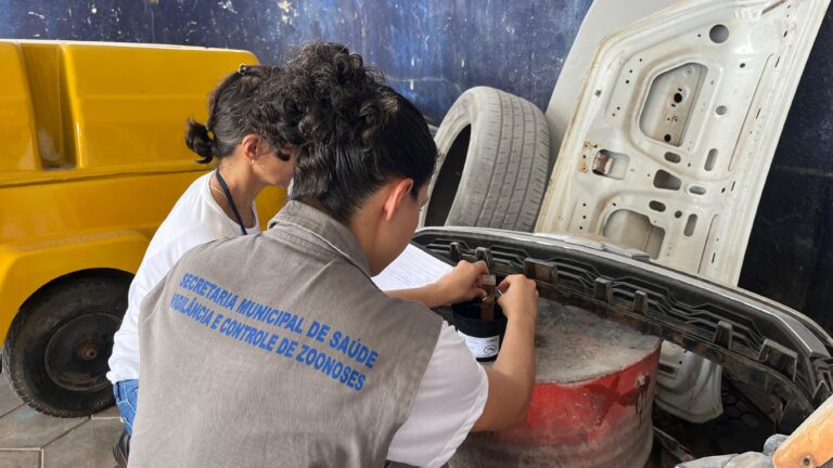 Novas armadilhas para capturar ovos do mosquito da dengue são instaladas pela Prefeitura de Palmas